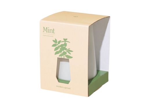 Modern Sprout - Mint Planter Kit