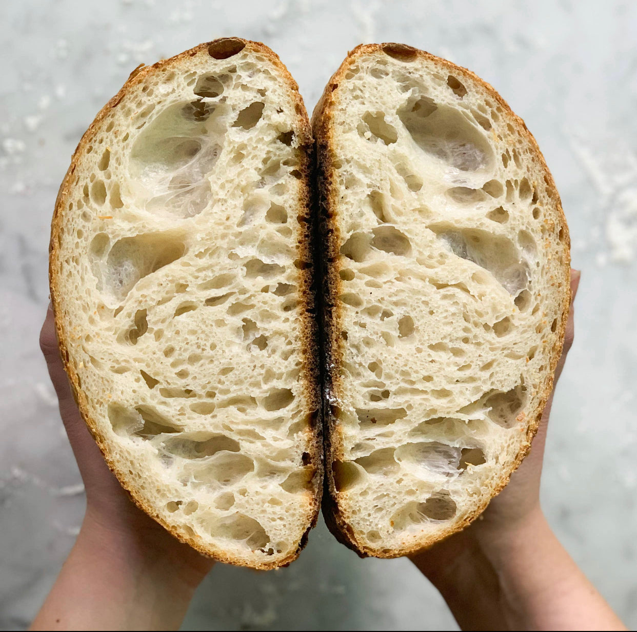 FarmSteady Sourdough Bread Making Kit